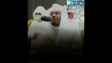 الشيخ ياسر الدوسري يحبر قصة نوح وابنه بترتيل خاشع ( يابني اركب معنا ) تلاوة خاشعة