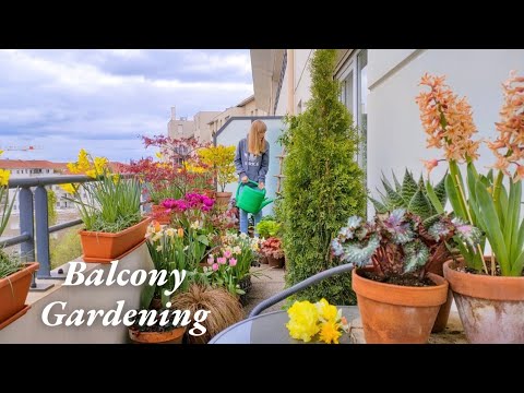 Relaxing Balcony Gardening Day - Garden With Me | 17m2garden