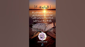 الآية 8 من سورة المائدة ....القارئ الشيخ ماهر المعيقلي