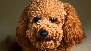 Capture 20150614 2
