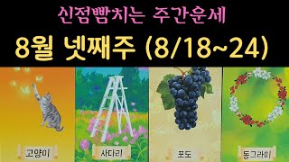 [타로카드]8월 넷째주 (8/18~24)주간운세 #여정타로 #tarot #tarotreading #주간운세