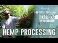 Heartbeat Of The Industry - Hemp Processing in Margaret River