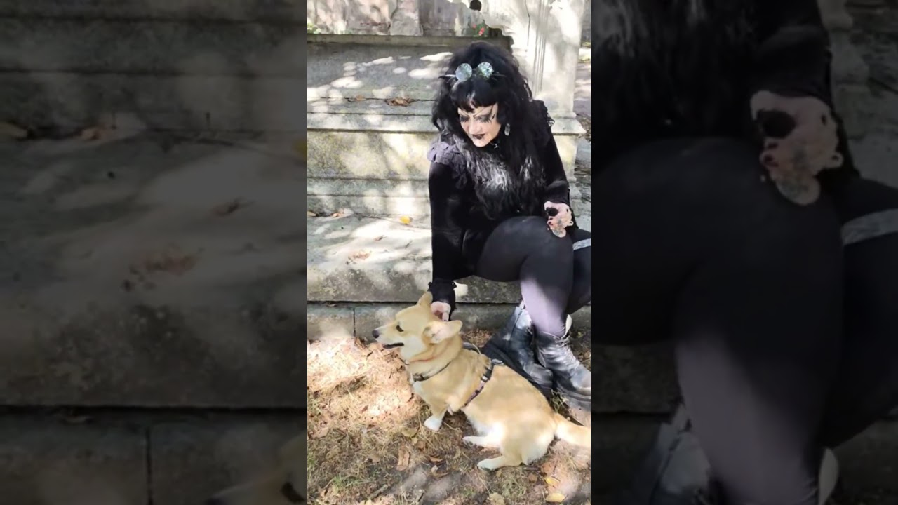 Dog at the graveyard 🪦 #cute #goth #gothgirl #subcribe #gothic #gothiceternity #graveyard #dog