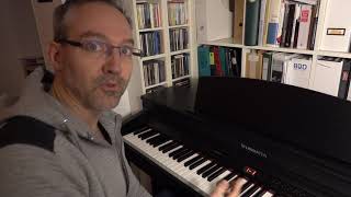 Steinmayer DP-360 Review by a Piano Teacher