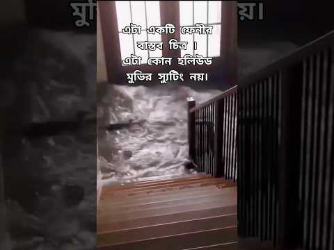 ফেনীর বাস্তব চিত্র #shorts