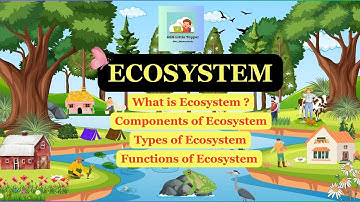 What is Ecosystem?  Types & Components of Ecosystem | Functions of Ecosystem | Environmental Science