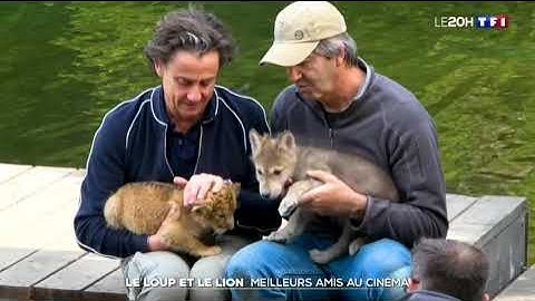 映画「オオカミとライオン」の撮影現場　（フランス語のニュース）