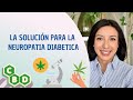 La solución para la NEUROPATIA diabética. CBD THC