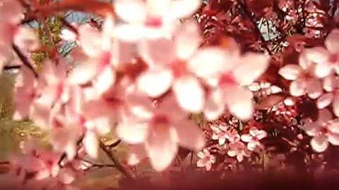 and then he said... {in progress}