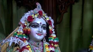 Darshan  of Sri Sri  Radha Madhava  05/11/2018