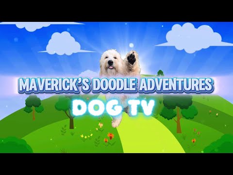 Amazing Colorful Animations and Sounds for Dogs!--Dog TV
