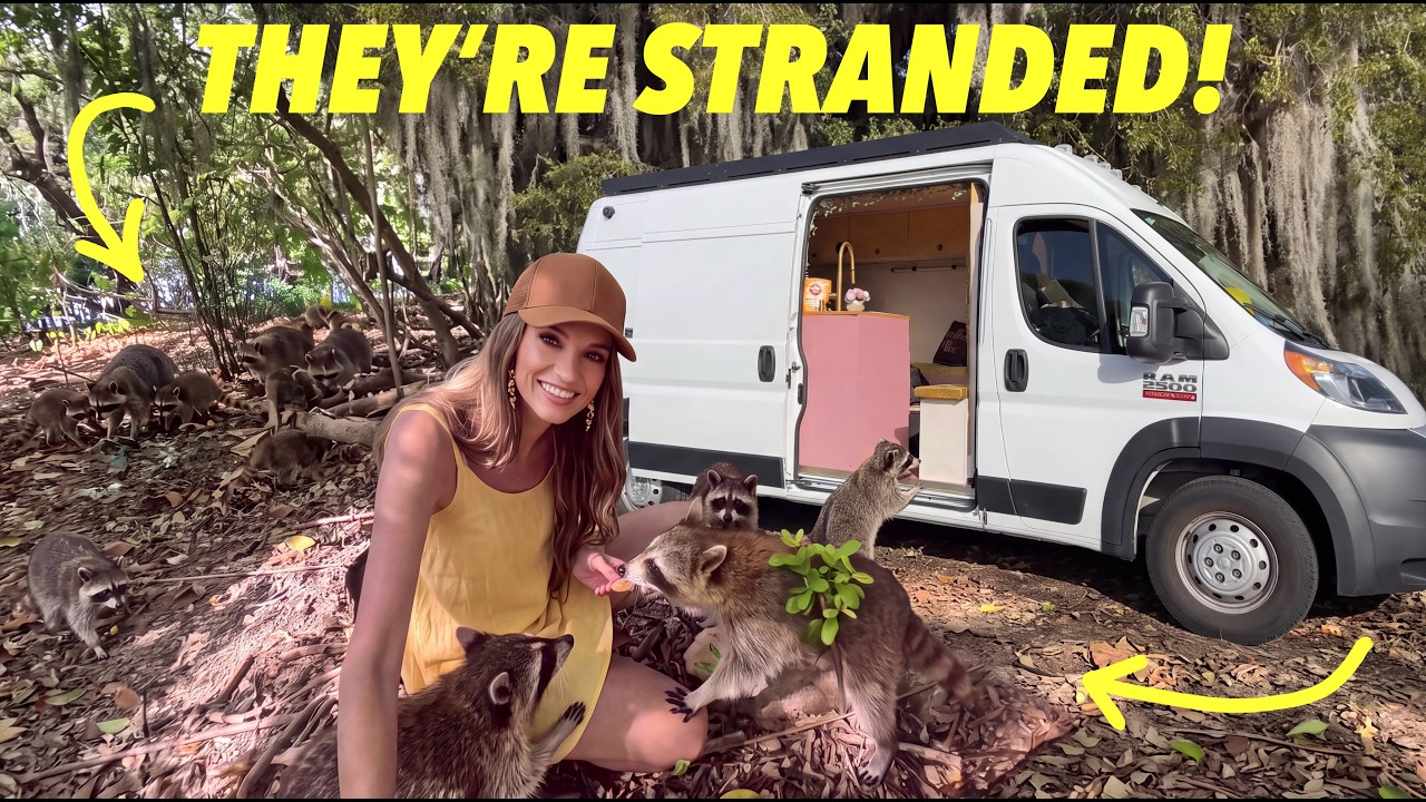 Exploring the Mysterious RACCOON ISLAND!?! 🏝️🦝