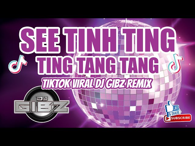 SEE TINH TING TING TANG TANG (DJ GIBZ REMIX) | TIKTOK VIRAL REMIX class=