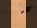 Struggling for traction in the dunes of the Dakar Rally