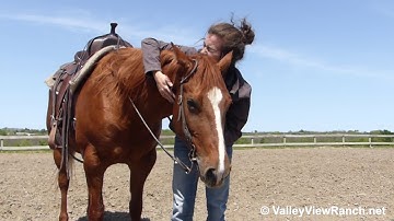 WBC Kharisma - smooth jog, lope, big stops! - ValleyViewRanch.net