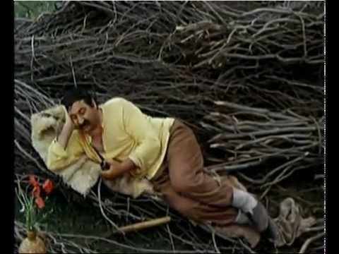 ციციკორე ყველა დროს ყავს