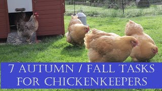 7 Autumn / Fall Tasks for Chicken Keepers