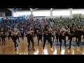DREYFOOS SENIOR PEP RALLY DANCE 2017 | Brianna Seaberg