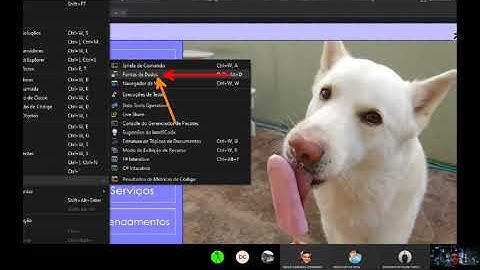 Projeto PetShop C# Parte 2 - Conexão com BD SqlServer e Criando cadastro básico de Cliente