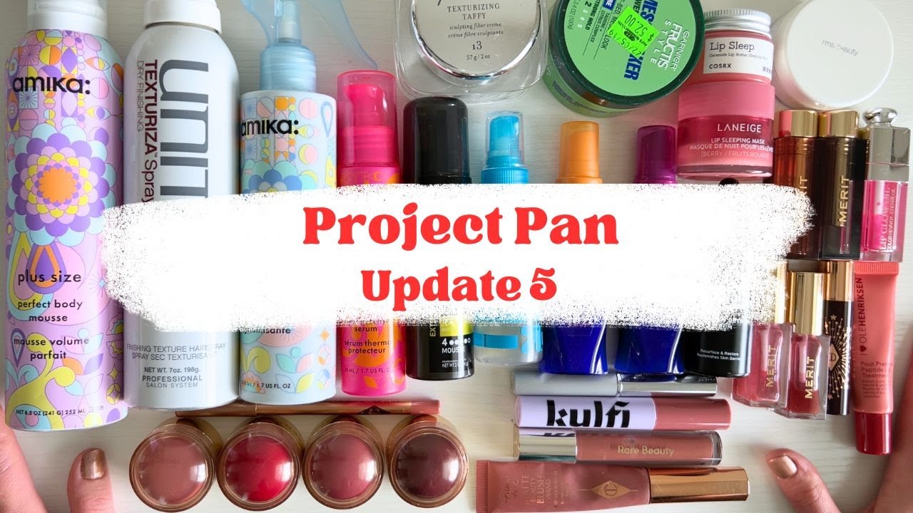 Project Pan Update 5 | 2026 Goals & Progress