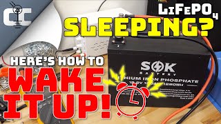 How to Wake a Sleeping LiFePO4 Battery 🔋 Charge a Fully Depleted Lithium Iron Phosphate Battery screenshot 5