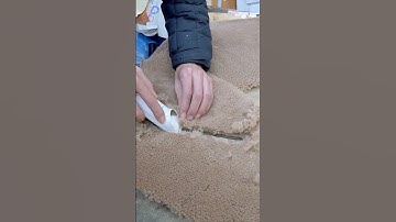Process of Making Sheepskin Jacket by Leather Craftsman