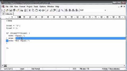 Beginner PHP Tutorial - 24 - Triple Equals