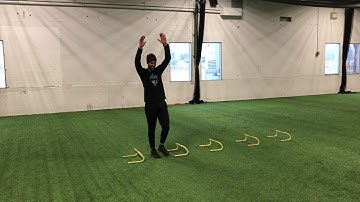 Single Leg Lateral Hurdle Jumps   with counter movement