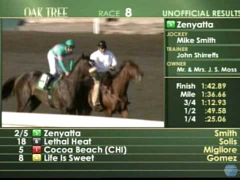 Zenyatta - 2009 Lady's Secret Stakes