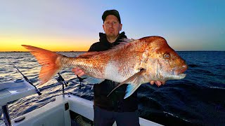 We show the trick that snares the biggest snapper of the season