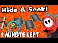 Attempting 1000 IQ Hide & Seek Plays... In Mario Kart Wii