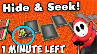 Attempting 1000 IQ Hide & Seek Plays... In Mario Kart Wii