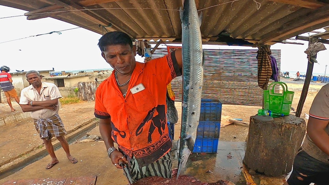 Long & Heavy Garfish Cutting & Chopping   Fast | Fish Cutting Skills | Negombo Fish Market  (EP 168)
