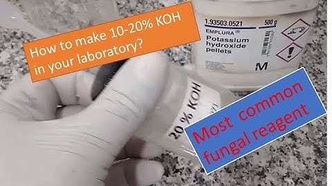 KOH reagent making procedure|| preparation of  KOH ||Mycology