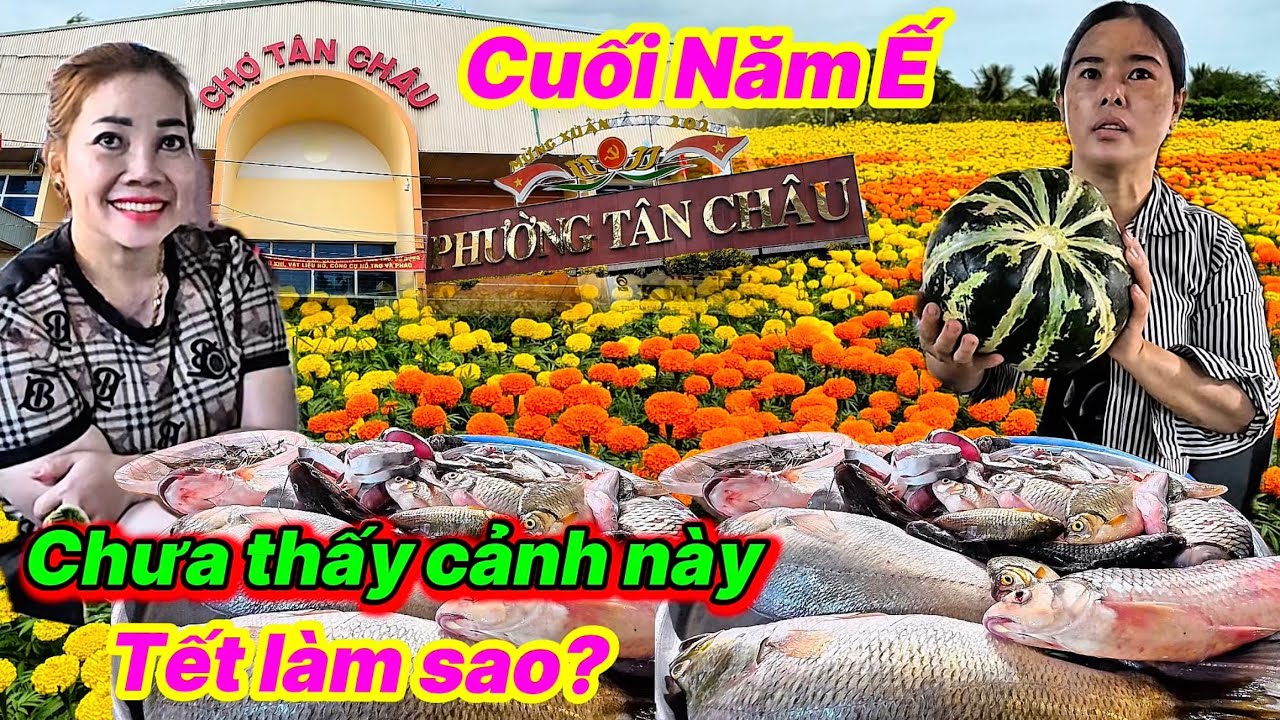 Cuối Năm Ế Chưa Từng Thấy Cảnh Này, TẾT BÀ CON ĐIÊU ĐỨNG chợ Tân Châu Vật Giá Leo Thang