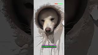 Kameraya Gerek Yok Bu Fikir Viral Oldu