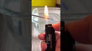 This Leaf Turned Into A Boat😯