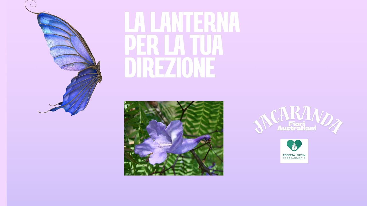RITROVARE LA DIREZIONE CHE FA DAVVERO PER TE E CONCLUDERE LE COSE