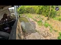 Middle of video