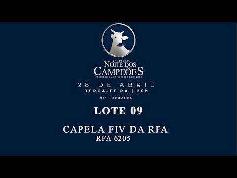 LOTE 09    CAPELA FIV DA RFA   RFA 6205