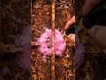 Most Satisfying Pink Foam Rust Removal! Extreme Restoration #shorts #viral #satisfying
