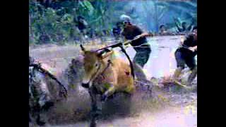 Download lagu RCTI Djarum Super K 22 10