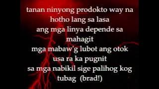 REBEL - NoPetsAllowed Lyrics on screen
