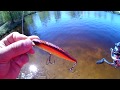 DUO REALIS JERKBAIT 100F,КОПИЯ С АЛИЭКСПРЕСС ОТ ALLBLUE.ИГРА НА ВОДОЕМЕ!