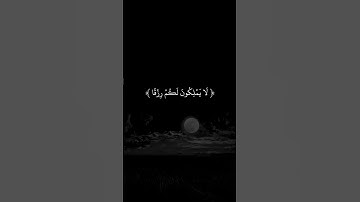 سورة العنكبوت - بلال دربالي