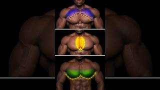 Upper, Middle, Lower Chest - Push-Ups Se Target Kaise Kare #FullChestGain #Tutorial
