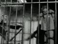 N.W.A. - Always Into Somethin'