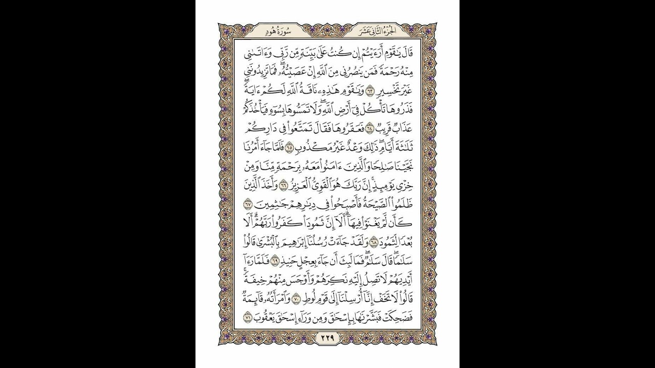 الوجه 229 من القرآن مكرر ١٠ مرات مع الآيات | سورة هود | الشيخ خليفة الطنيجي