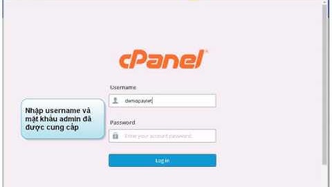Hướng dẫn - Cấu hình mail catchall trên mail server cPanel Linux | P.A Việt Nam