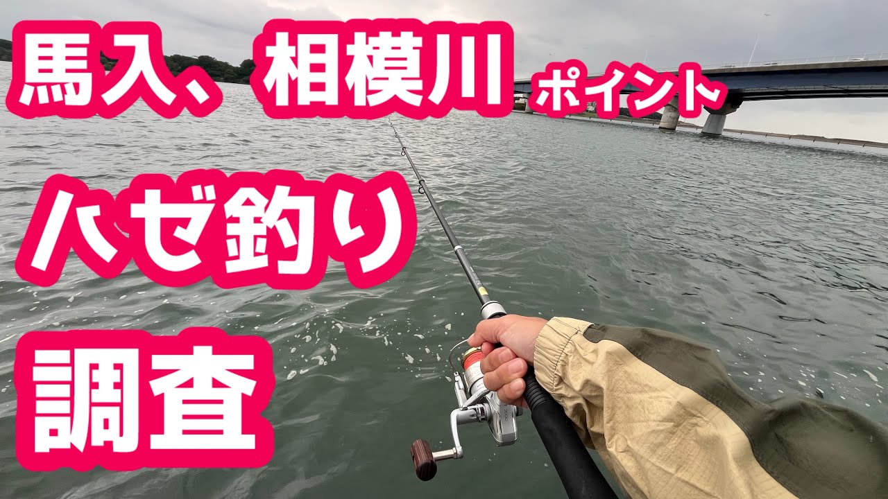 Fishing] Can you catch gobies in Hiratsuka and Banyu? Spot and